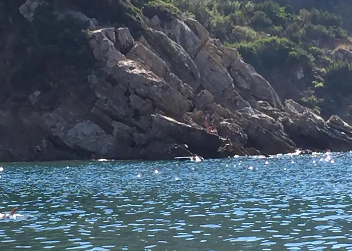 Silvana Apartman Nisporto